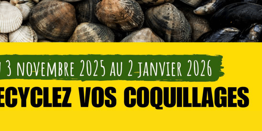 Recyclez vos coquillages dans les déchetteries de Laval Agglo