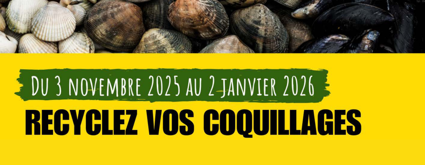 Déchets coquillages